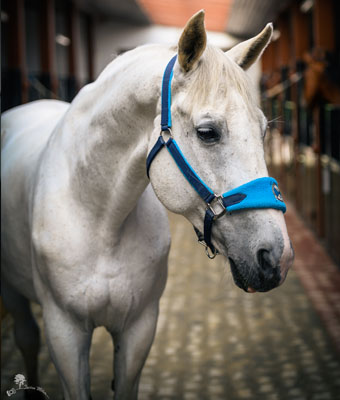 INTERMEZZO (MOOKI)